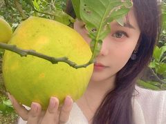 -梁子湖东篱老屋生态庄园