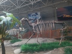 -中国第四纪冰川遗迹陈列馆