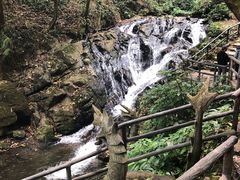 -莫里热带雨林景区