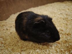 -Zoolung Zoolung动物主题公园(海信广场店)