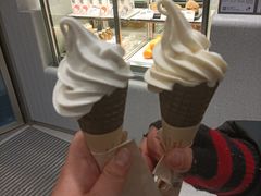 椰椰脆筒-喜茶(广州中山六路店)