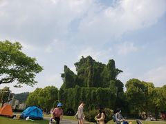 -上海月湖雕塑公园