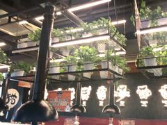 -猫抓烤肉(春熙路店)