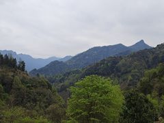 -石台牯牛降景区