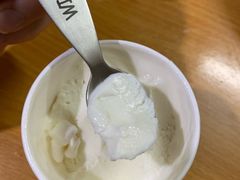 姜撞奶雪糕-歎雪糕低糖低脂Gelato冰淇淋