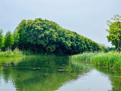 -昆山城市生态森林公园