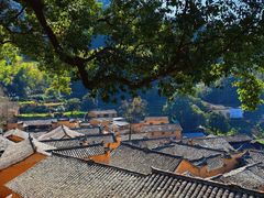 -杨家堂村