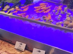 -万达瑞华酒店美食汇自助餐厅(楚河汉街店)