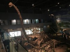 -自贡恐龙博物馆