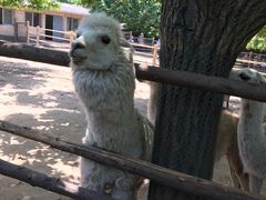 -西安秦岭野生动物园