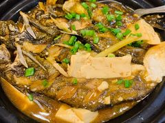黄骨鱼焖豆腐/斤-来客家食府 · 福建客家菜(厦禾路店)