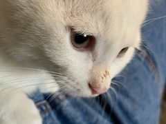 -美联众合动物医院·24h转诊中心