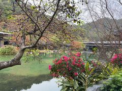 -云溪植物园