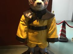 -成都泰迪熊博物馆