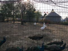 -敕勒川草原文化旅游区