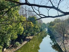 -上海长兴岛郊野公园