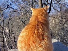 -终南山南五台景区