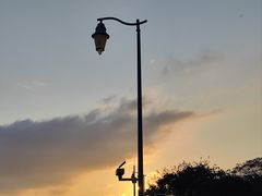 -深圳湾公园(南山区)