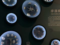 -中国湿地博物馆