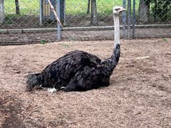 -长白岛森林公园