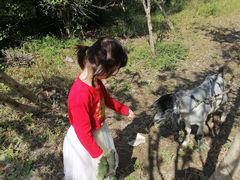 -马陆小张葡萄园农家乐