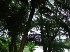 -美国纪念公园