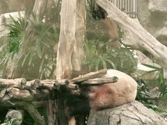 -香港海洋公园