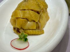 白斩鸡-顺风海鲜港(金玉兰店)