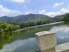 -深圳仙湖植物园