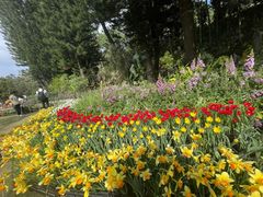 -深圳仙湖植物园