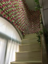 -梵梦影像馆(绿博园店)