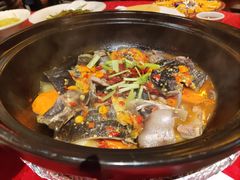 砂锅甲鱼-湘水谣(芙蓉店)