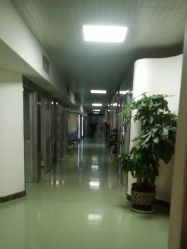 -应超小李飞刀整形