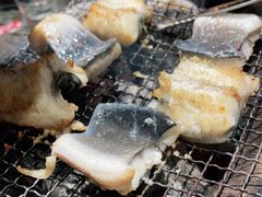 -白丁家泥炉烤肉·鳗鱼(海河东路店)