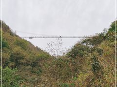 -皇藏峪国家森林公园