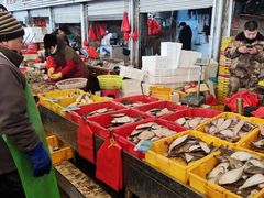 -重振华中蔬菜批发市场(重庆中路店)