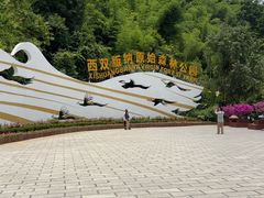 -西双版纳原始森林公园