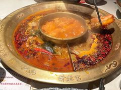 -哥老官重庆美蛙鱼头(五角场合生汇店)
