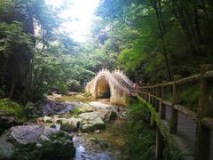 -牛背梁国家森林公园