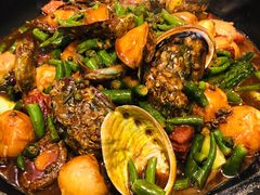 黄焖鲜鲍-巴渝菜舍曾氏麻辣风(霸州店)