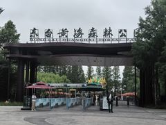 -黄海国家森林公园