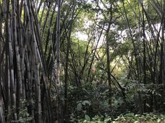 -中山公园(石岐街道)