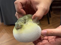 -肆月河豚·新淮扬(金融街店)