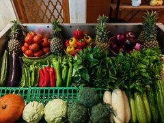 -蜈支洲岛珊瑚酒店临海阁中餐厅