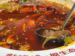霸气毛血旺-新渝城·始于2000年(淘金店)