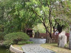 -深圳国际园林花卉博览园