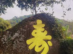 -天鹿湖森林公园