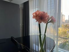-Melody Mentor音乐私教馆(朝外·悠唐店)