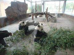 -无锡动物园·太湖欢乐园
