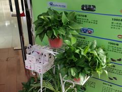 -自然之声助听器·呼吸机(和平店)